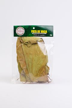 PATA DE VACA 16G